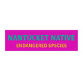 Bumper Sticker — “Nantucket Native: Endangered Species” Bright Pink Vinyl Decal
